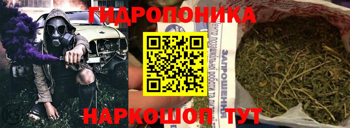 Балаково  Каннабис марихуана  Вход с VPN  Марихуана ГИДРОПОН  МАРИХУАНА сатива 